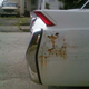 Illustration for article titled 64 Caddog Triumphs- Relatively Speaking- Over Massachusetts Rust